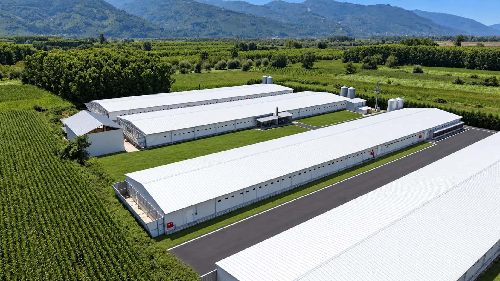Ersa Çiftlik modern üretim altyapısı