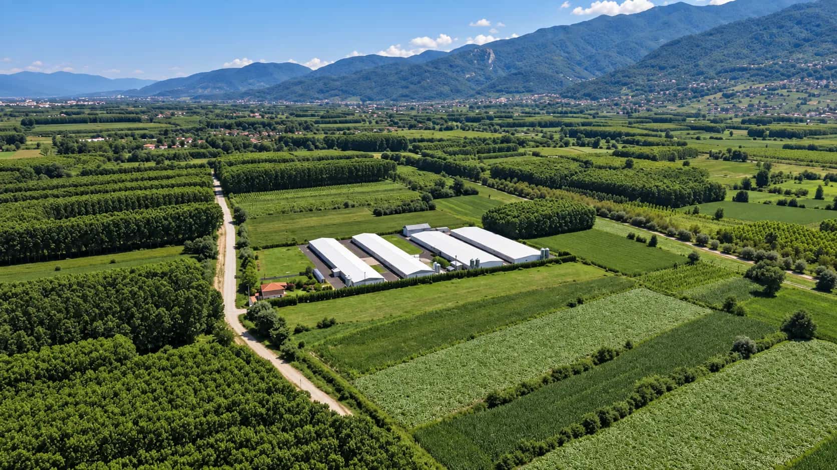 Ersa Çiftlik tesisini çevreleyen Düzce ovasının doğal yeşil alanları